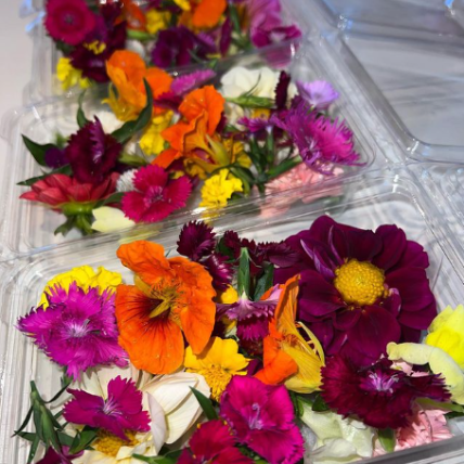 Edible Flowers 1