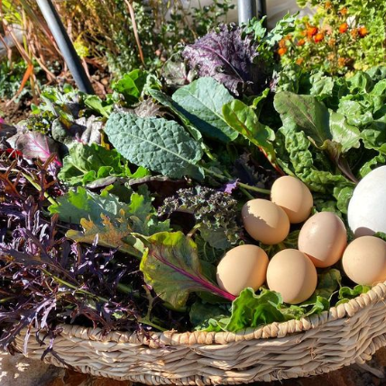 Fresh Produce